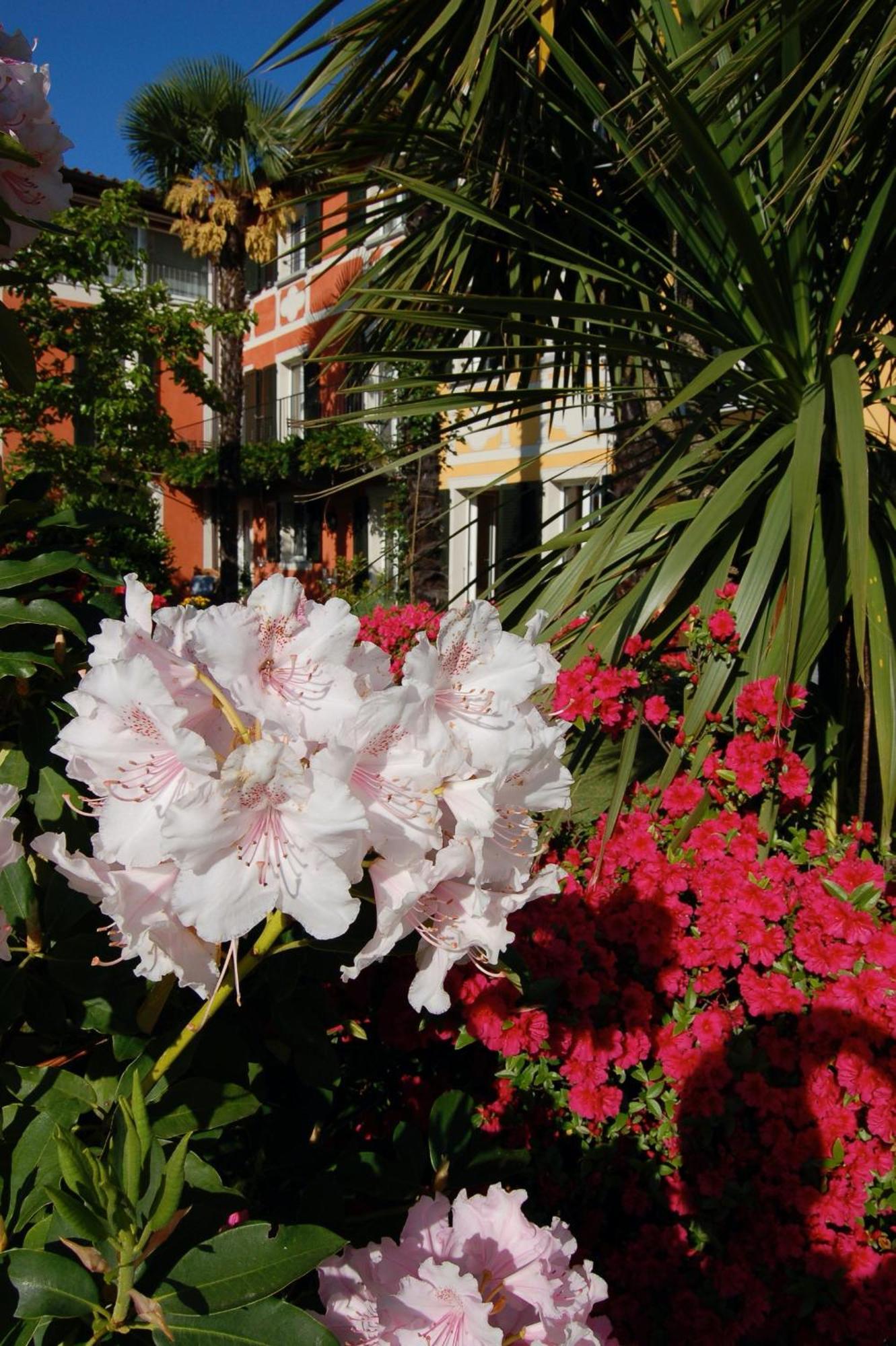 Bed & Breakfast Casa Concerto Brissago